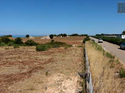 Il nostro punto di partenza � la parte pi� meridionale della frazione molese di Cozze. Qui superata una grande rotatoria ci si immette nella stretta complanare che porta a San Vito...
